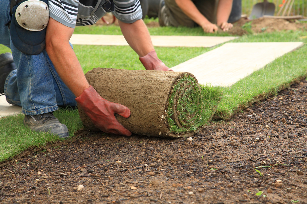 What Is The Best Time Of Year To Install Sod?
