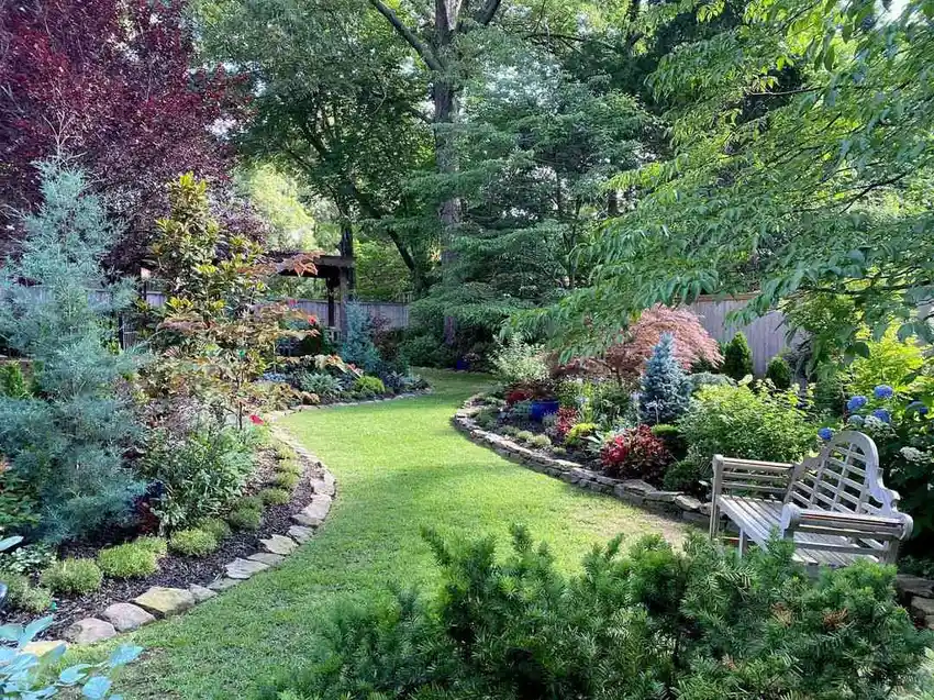 Landscaping Ideas for Backyard