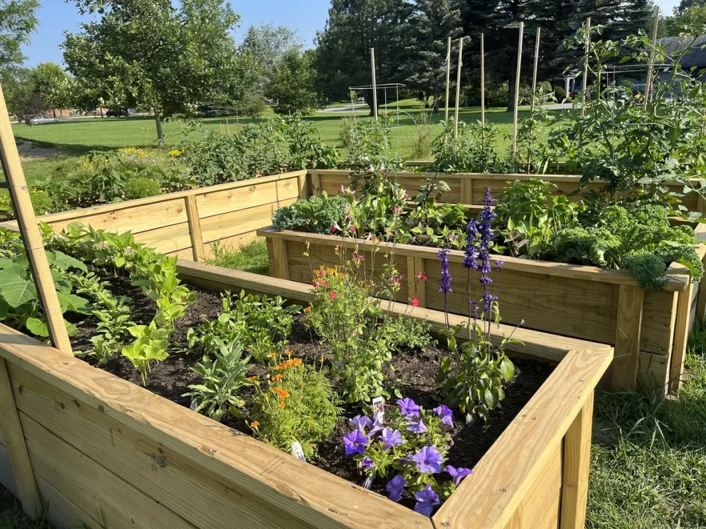 U-Shaped Raised Bed